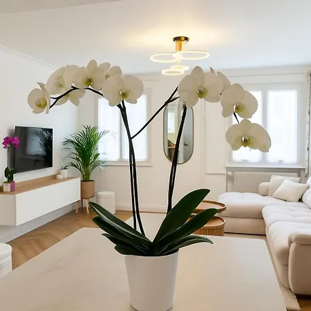 Ferienhaus Maison Saint Florent - Comfort & *